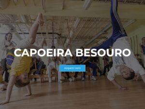 capoeiraconnection-capoeira-besouro